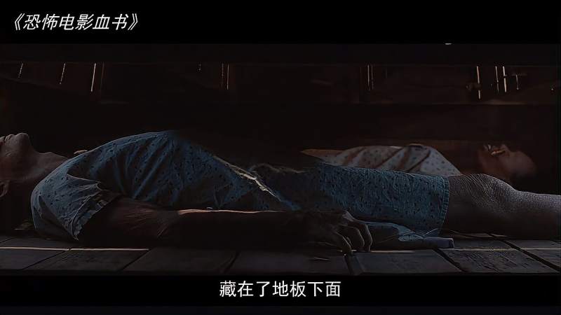 分段式恐怖电影血书一间诡异的房子地板下住满了人