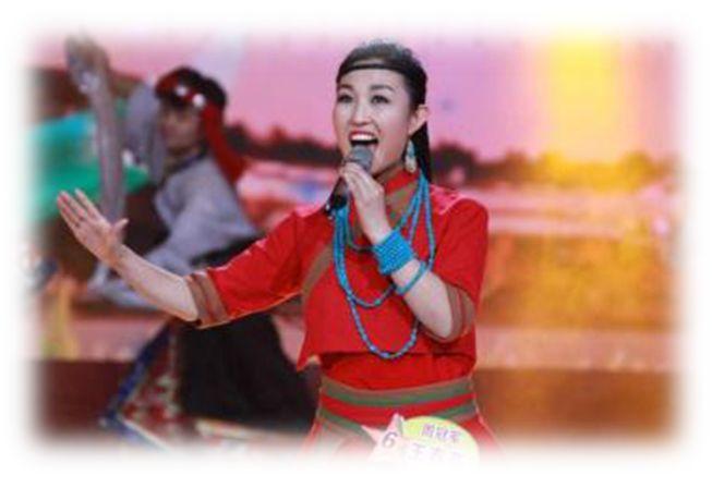 我从陕北来宝林巡回演唱会榆林站