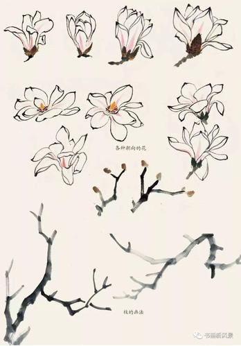 春天这样画春花,美不胜收!