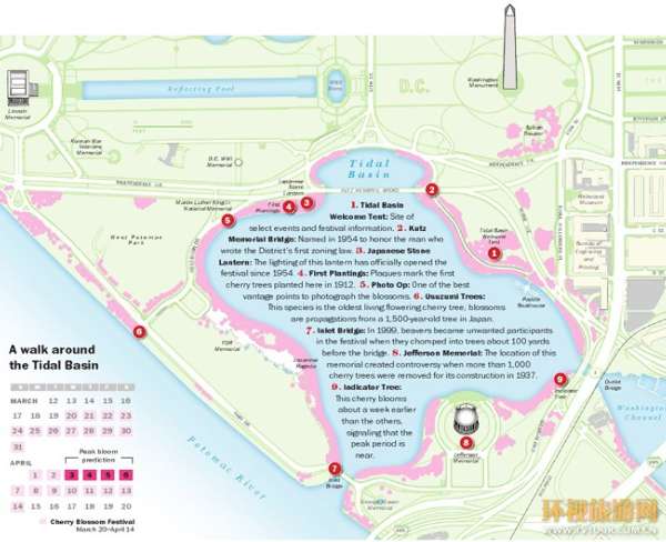 潮汐湖(tidal basin)位于华盛顿国家广场西南,湖边栽种着从日本引进