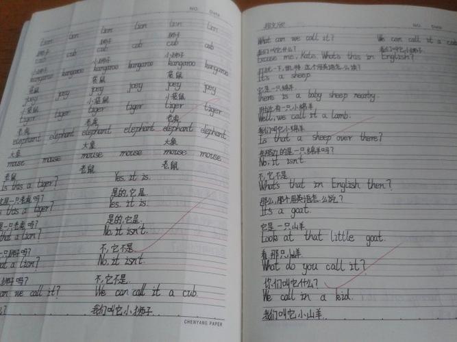 我们的优秀英语作业