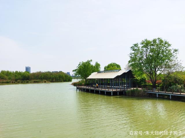 阳光下的徐州大龙湖