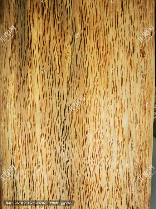 粗糙的水冬瓜树树杆去皮纹理