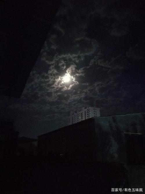 月光下的孤独感