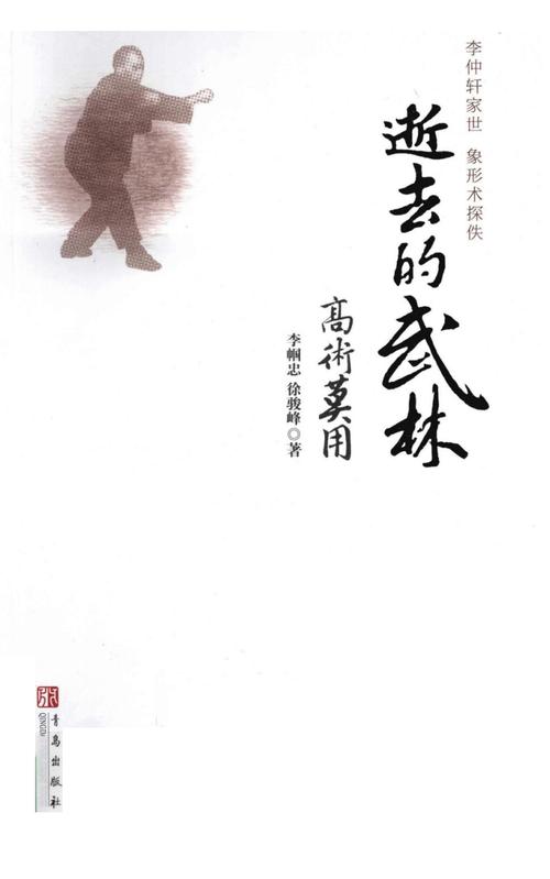 逝去的武林·高术英用_12670758.pdf