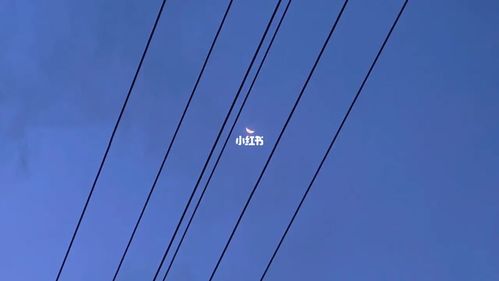 电线杆与天空_遂昌县自由行热门攻略_手机摄影_生活记录_接地气生活