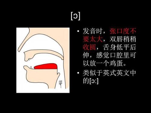 图说国际音标,借助口型掌握发音技巧,一学就会