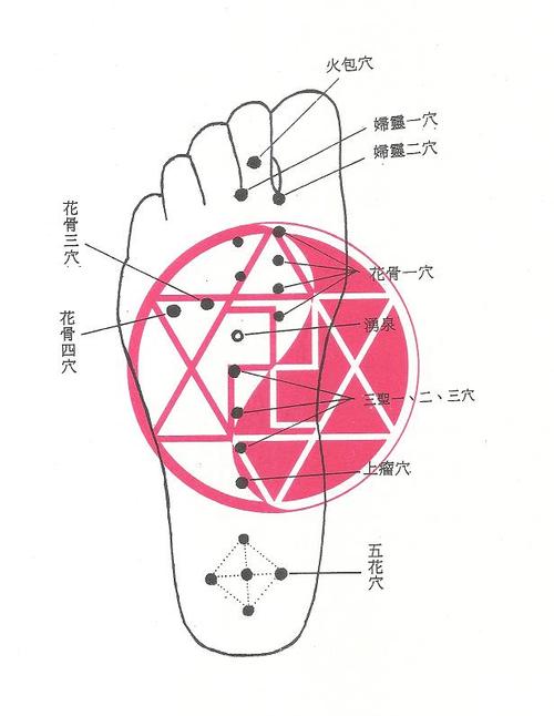浙西文库 董氏穴位详解--五五脚趾部位  定位 平卧,当足第二趾底远端