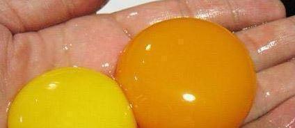 鸡蛋也有人造的?教大家5个小窍门,从此不用担心买到假