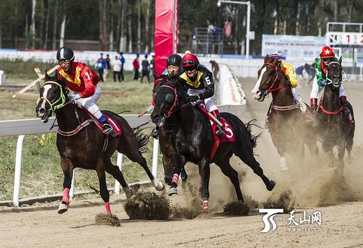 速度赛马比赛现场.