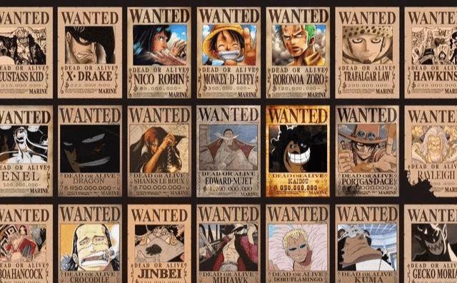 海贼王中赏金猎人设定渐渐荒废设置的悬赏金还有什么意义呢