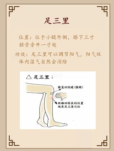 艾灸这6个穴位,祛除体内湿气_艾灸_肩颈_祛湿_失眠_补肾_医疗健康