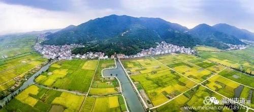诗画曹村,秋韵田园|瑞安_新浪新闻