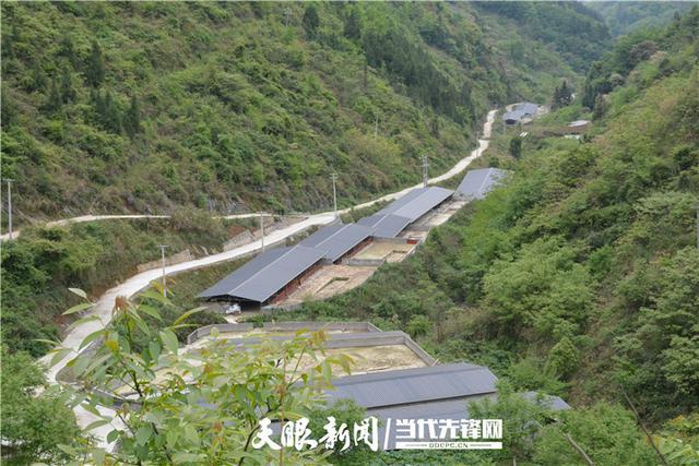 正安县格林镇:有把"长与短"致富"金钥匙"