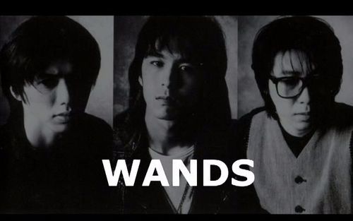 wandslive合集