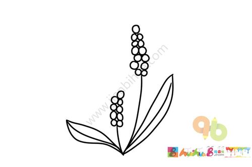 薰衣草简笔画大全集