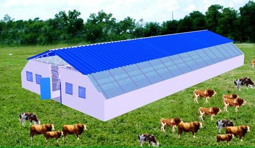 下面,大汉养殖场就给大家一组养牛场牛棚建设图,大家在建造牛棚的时候