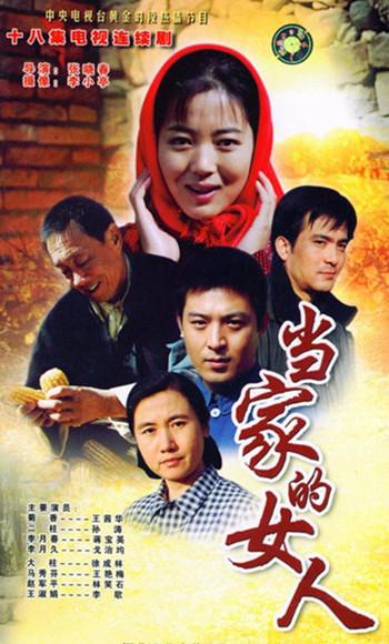 电视剧女人不当家,女人不当家剧情介绍_电视猫