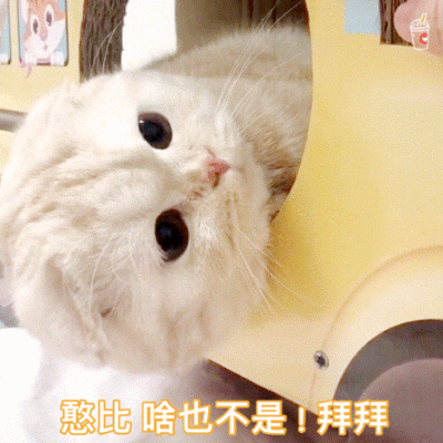 嗷呜