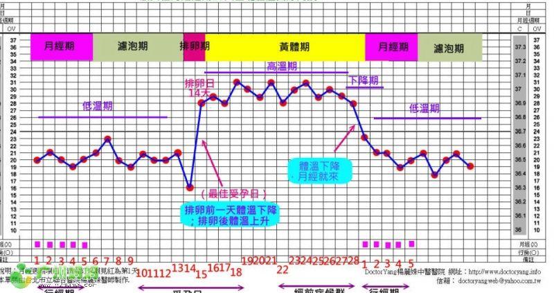正常体温_正常体温曲线图_女生生理周期体温
