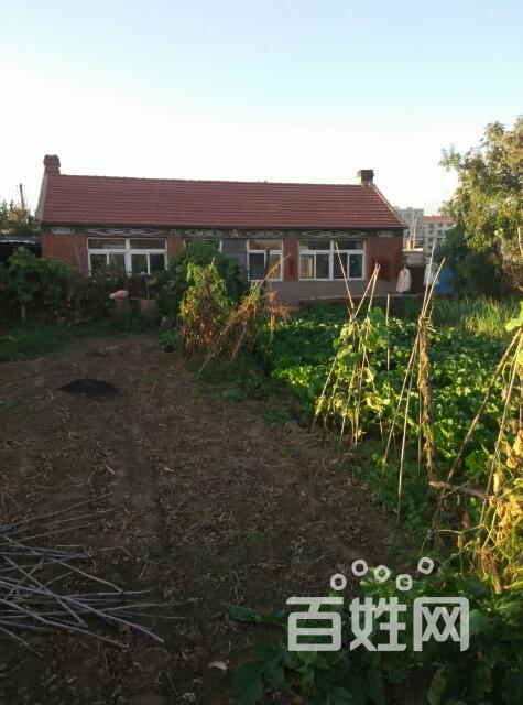 【图】- 出售农村平房,院子大 - 沈阳苏家屯城郊二手