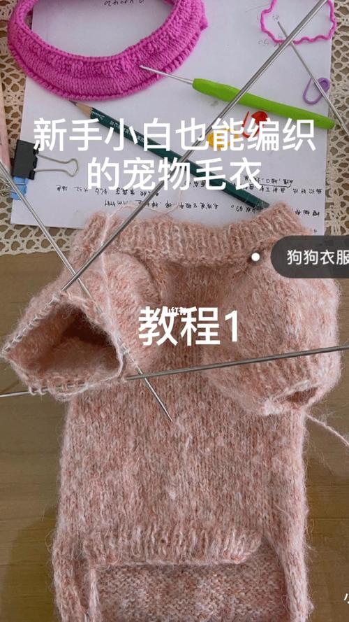 狗狗毛衣编织教程_毛衣_狗狗_兴趣爱好_手工