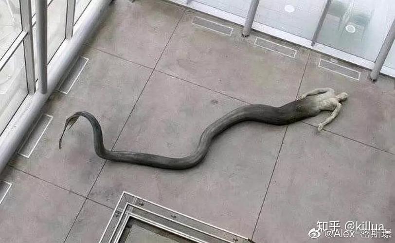 若女娲蜗居深海,巨大的人身蛇尾,某种程度也很迷人