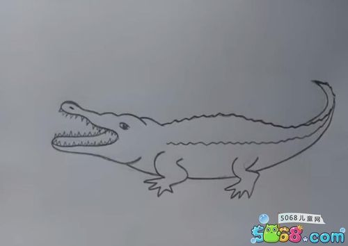 如何画鳄鱼 少儿学画鳄鱼教程(6)