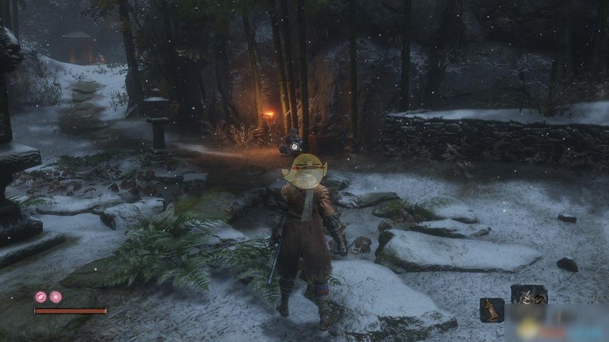 《只狼:影逝二度》全葫芦种子怎么得 具体获得方法分享