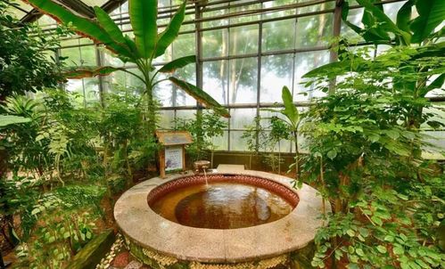 酒店拥有特色汤池60余个