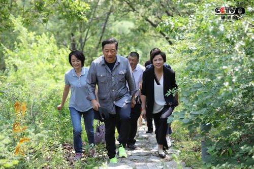 央八首播,东北题材,故事真实,优质农村剧|鲜花盛开的山村|电视剧|铅锌