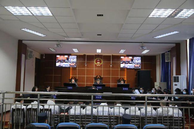 案件直击印江法院公开开庭审理一起12人涉电信网络诈骗案