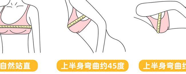 怎么测量胸围买合适的内衣