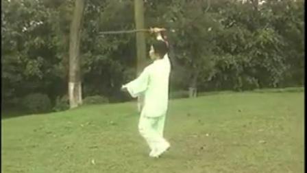 八, 第八段分解动作-- 抒怀剑 单剑一剪梅