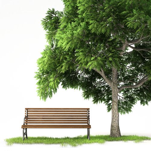 树与椅子图片