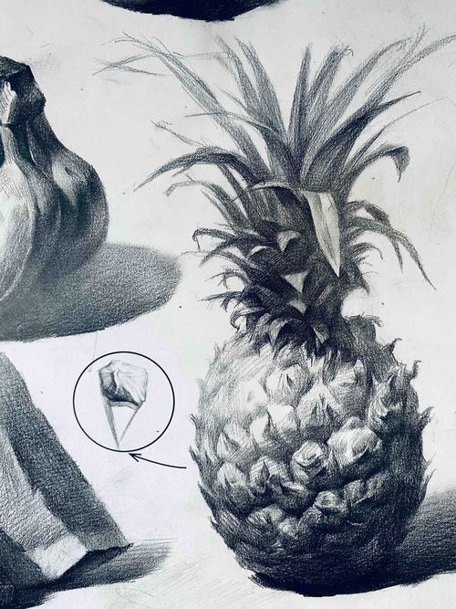 这两个同学素描菠萝画的还是很不错的,体积感细节都画出来了,很棒哦!