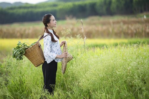 农家小妹-广西田阳网