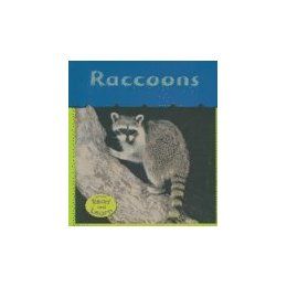 【预订】raccoons