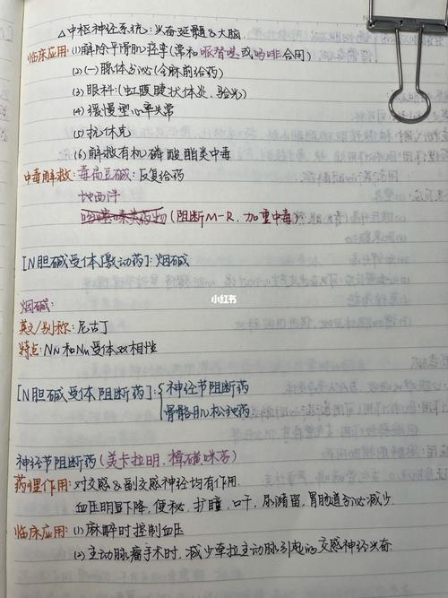 药理学笔记-1_医学生_教育_教育其他