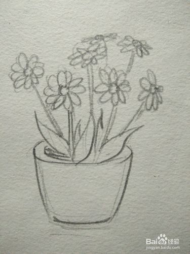 第四步勾画出花盆的轮廓