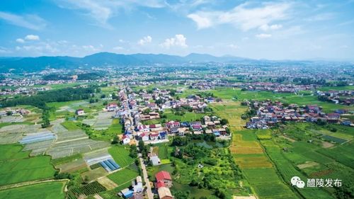 湘东明珠,电瓷之都丨这里是浦口_醴陵