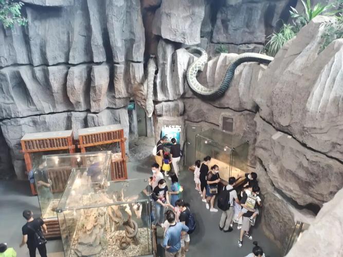 上海科技馆_上海科技馆攻略_景点_出行_人文风光展示