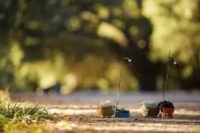 社区里70岁的温阿姨却说:我和老高aa制搭伙过日子,也曾被很多人笑话或