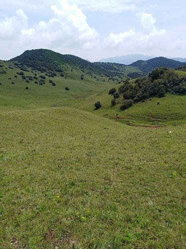 乌龙坝高山草甸(宾川的小香格里拉)