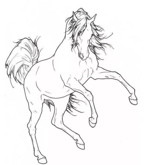 画马白描九幅