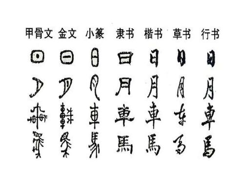 书法演变及特点