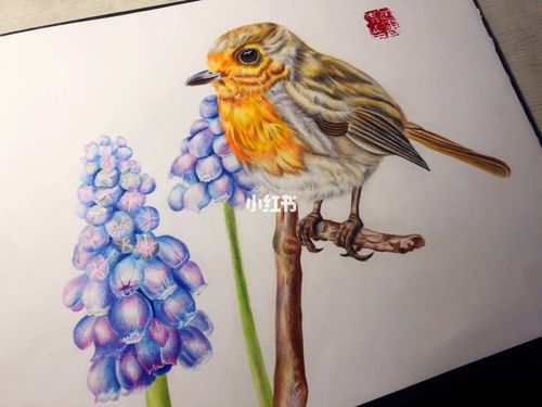 彩铅花鸟_彩铅_文化_绘画