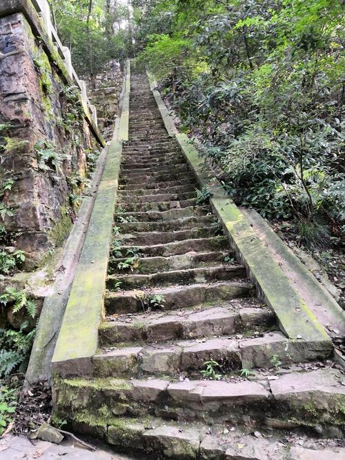 新的上山路,9月2日下午师大上山未命名