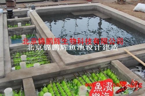 锦鲤池循环水设计 锦鲤池过滤系统设计 锦鲤鱼池过滤系统改造