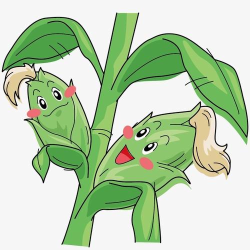 > 手绘玉米表情